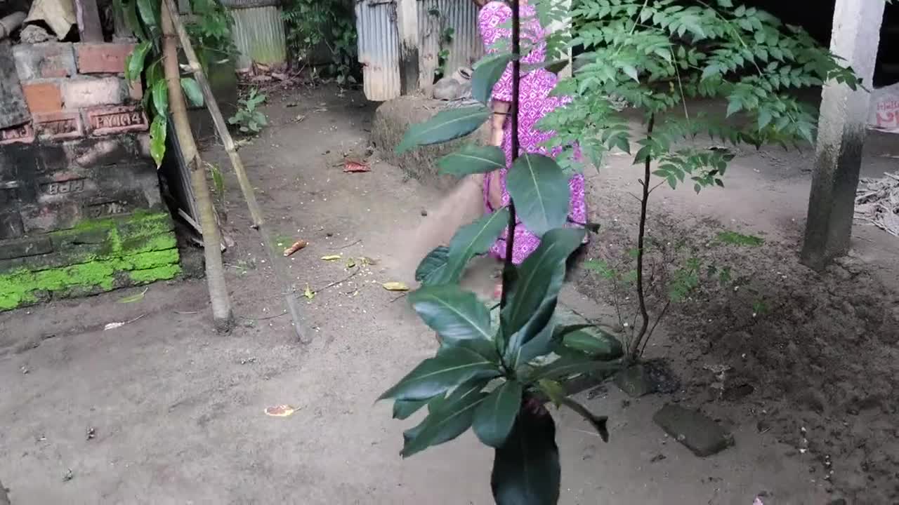 Aku melihat bibiku membersihkan halaman, aku memeluknya dan mulai bercinta