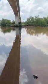 Ngajak temen kuliah main bawah jembatan buat lihat sungai malah dikasih nenen