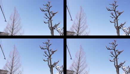 [ Jav Sub Indo ] Klien pertama yang saya kunjungi di Hikikomori Independence Center adalah seorang wanita (23) yang tidak bisa merasa puas kecuali dia terus-menerus menghisap sesuatu. 062_START-143